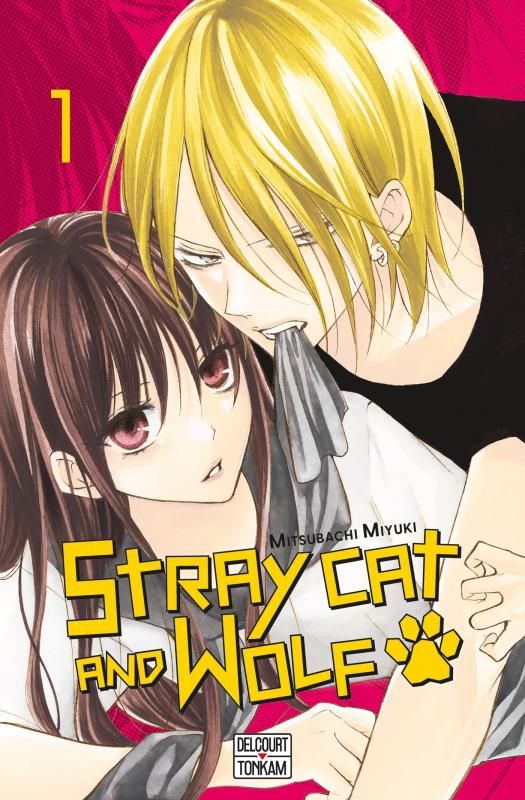 STRAY CAT AND WOLF T01 - VOL01