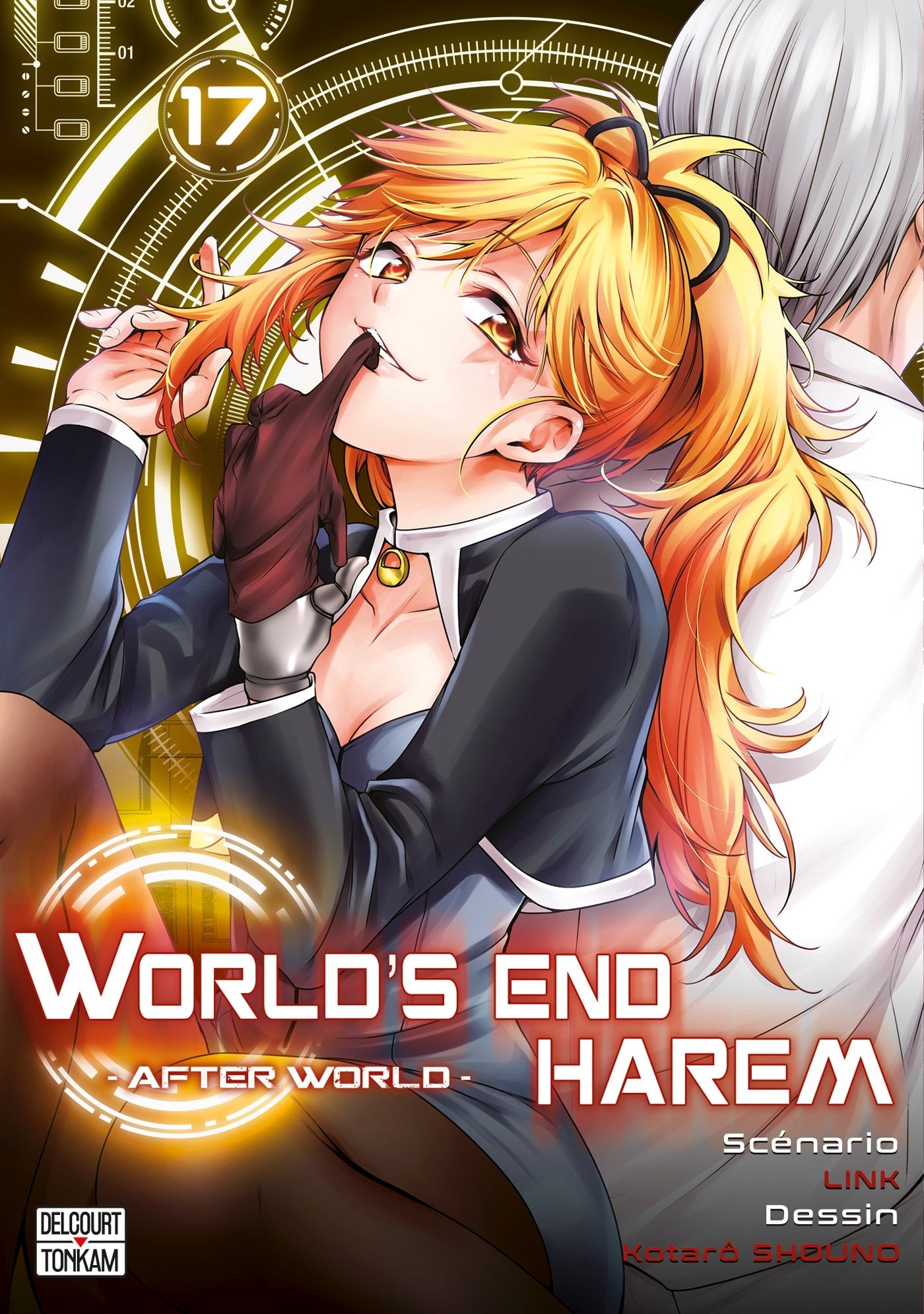 WORLD'S END HAREM T17 - VOL17