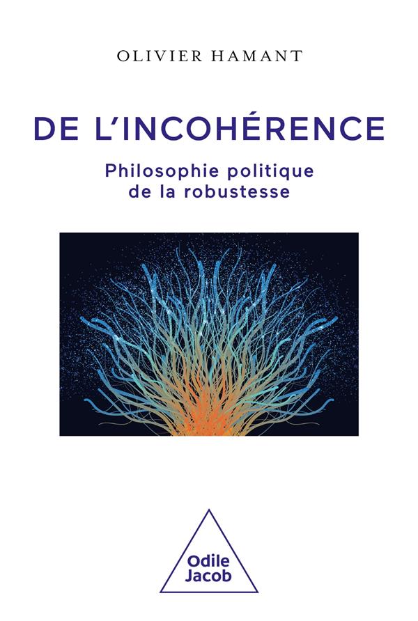 DE L'INCOHERENCE