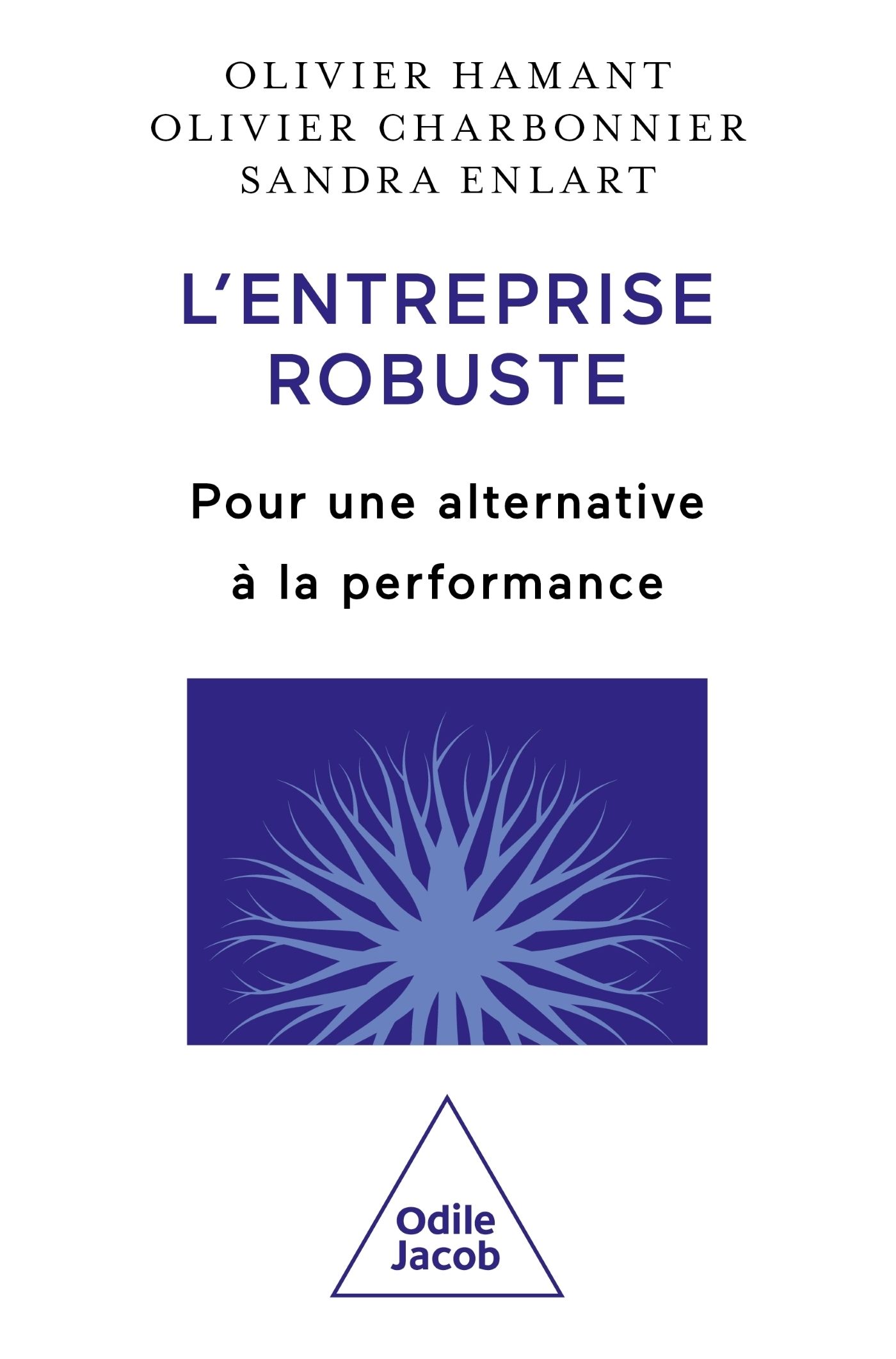 L'ENTREPRISE ROBUSTE - POUR UNE ALTERNATIVE A LA PERFORMANCE