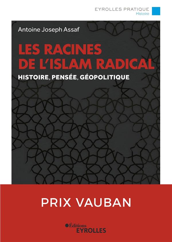 LES RACINES DE L'ISLAM RADICAL - HISTOIRE, PENSEE, GEOPOLITIQUE