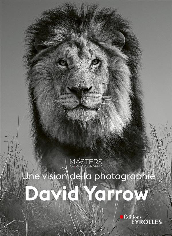 DAVID YARROW, UNE VISION DE LA PHOTOGRAPHIE