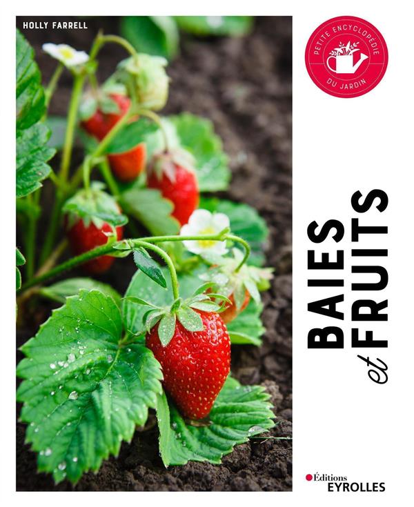 BAIES ET FRUITS