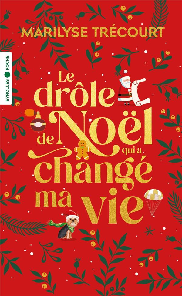 LE DROLE DE NOEL QUI A CHANGE MA VIE