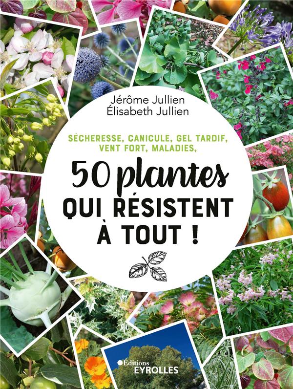 50 PLANTES QUI RESISTENT A TOUT ! - SECHERESSE, CANICULE, GEL TARDIF, VENT FORT, MALADIES