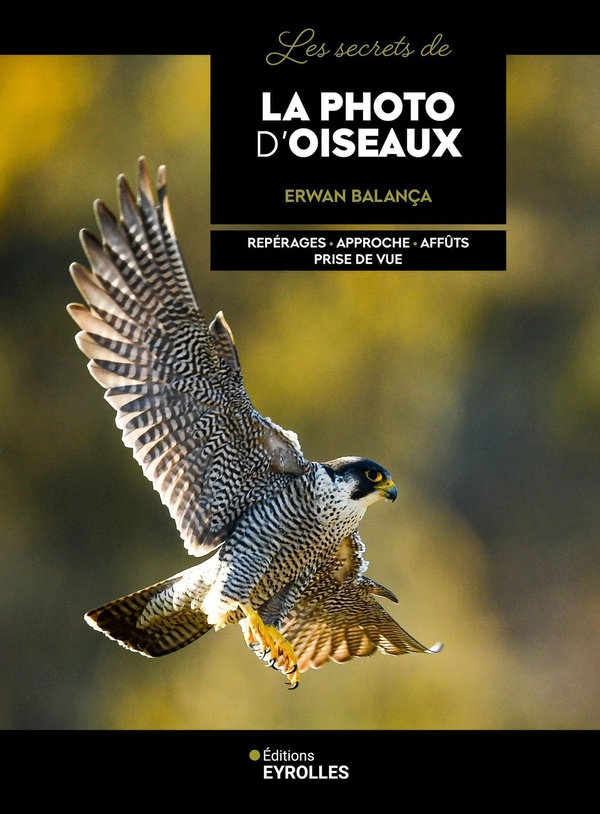 LES SECRETS DE LA PHOTO D'OISEAUX - REPERAGES - APPROCHE - AFFUTS - PRISE DE VUE