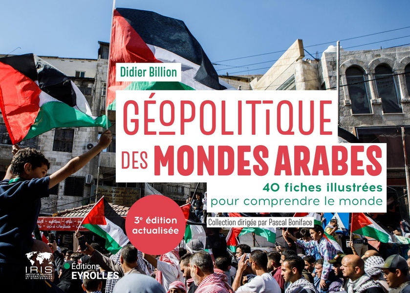 GEOPOLITIQUE DES MONDES ARABES/NOUVELLE EDITION MISE A JOUR - 40 FICHES ILLUSTREES POUR COMPRENDRE L