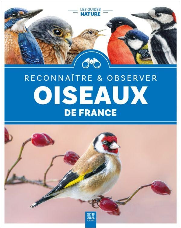 OISEAUX DE FRANCE - RECONNAITRE & OBSERVER - ILLUSTRATIONS, COULEUR
