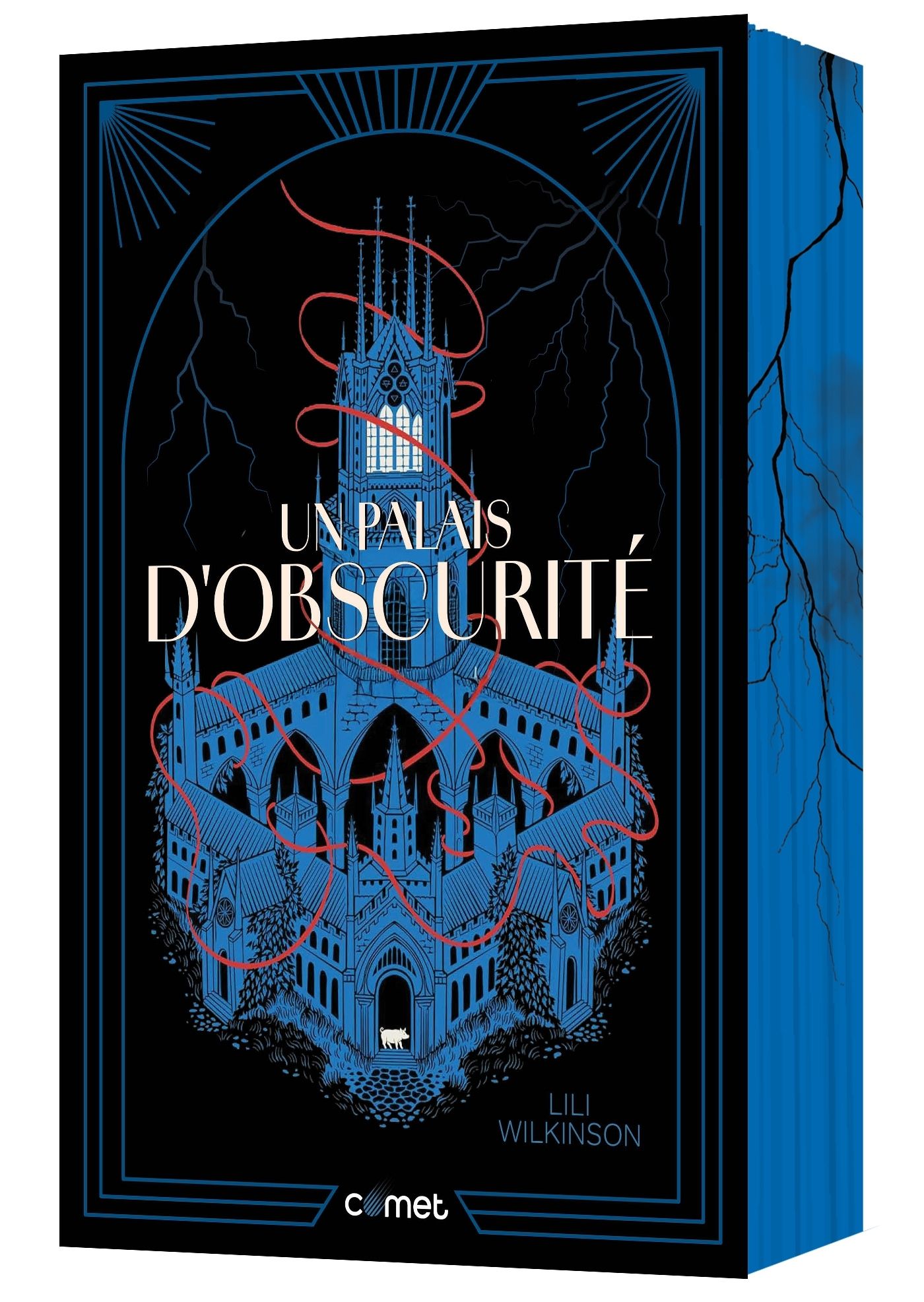 UN PALAIS D'OBSCURITE