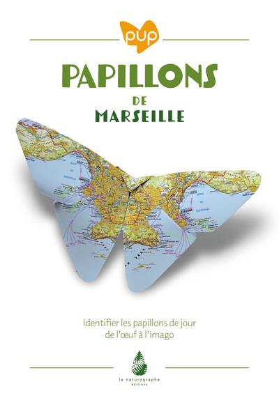 PAPILLONS DE MARSEILLE - IDENTIFIER LES PAPILLONS DE JOUR DE L'OEUF A L'IMAGO