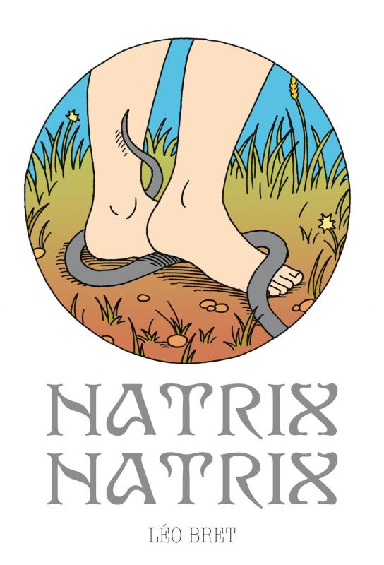 NATRIX NATRIX - ILLUSTRATIONS, COULEUR
