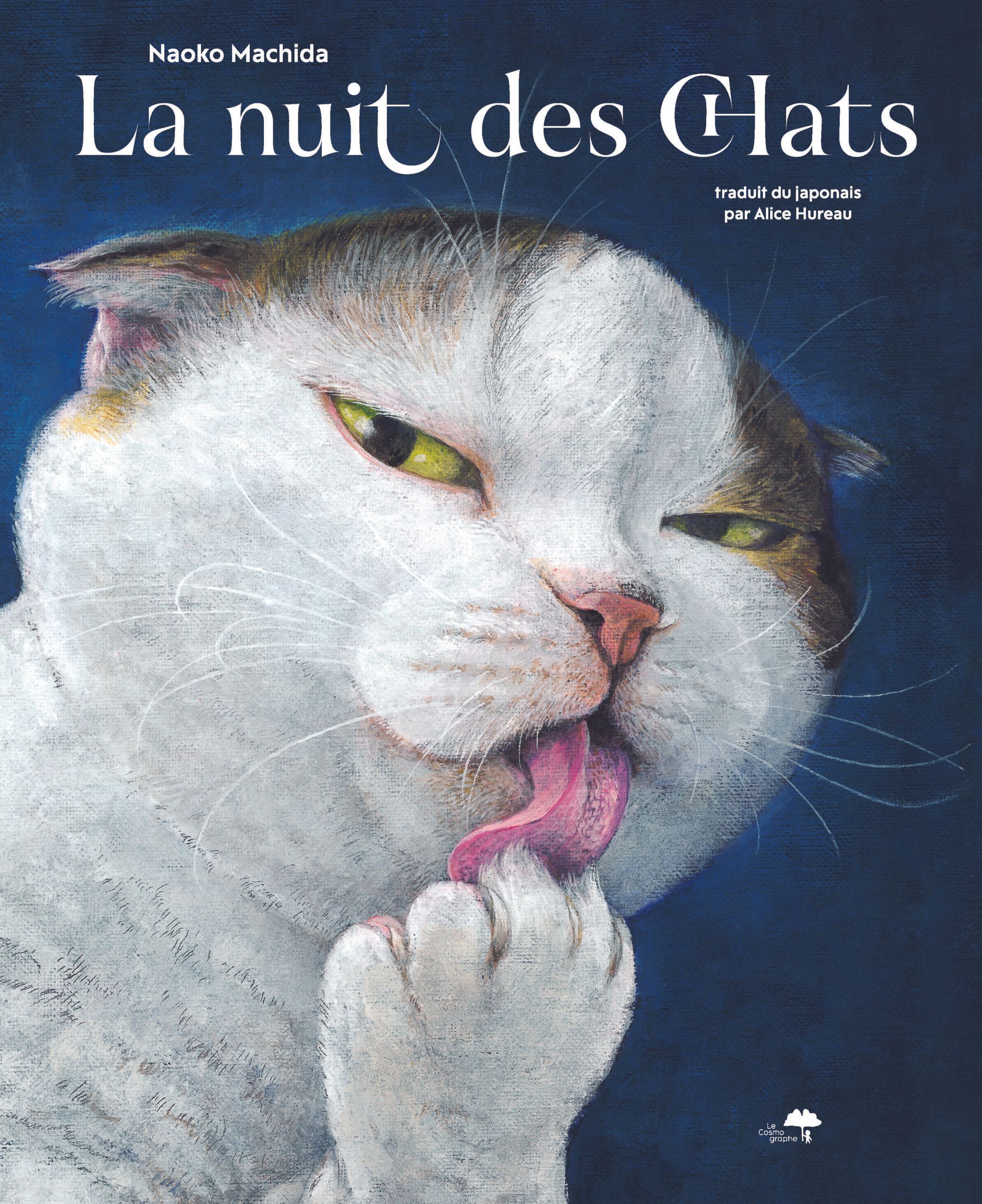 LA NUIT DES CHATS - ILLUSTRATIONS, COULEUR