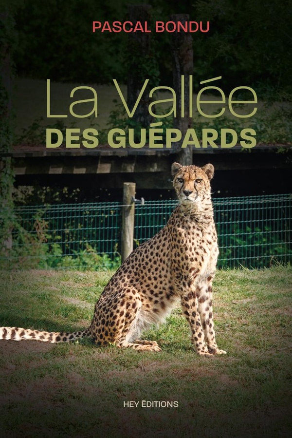 LA VALLE DES GUEPARDS