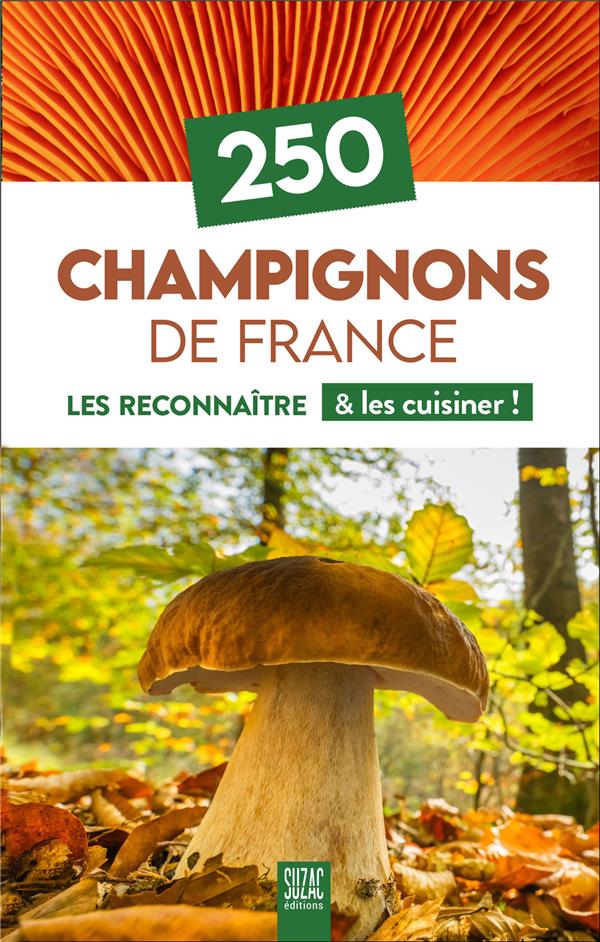250 CHAMPIGNONS DE FRANCE - LES RECONNAITRE & LES CUISINER !