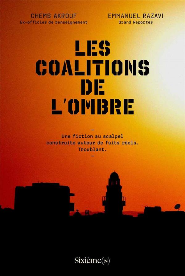 LES COALITIONS DE L'OMBRE