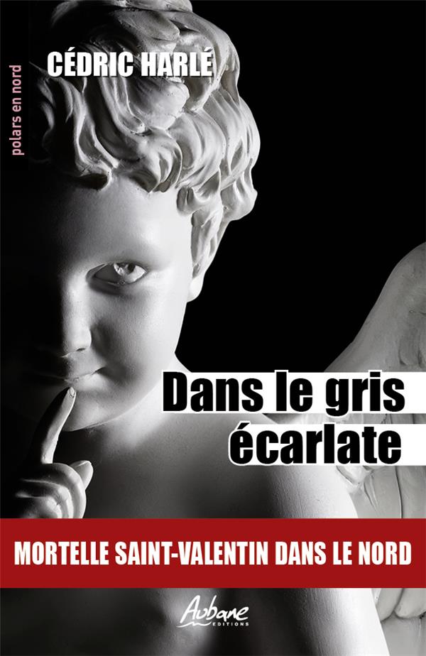 POLARS EN NORD - T297 - DANS LE GRIS ECARLATE - MORTELLE SAINT-VALENTIN DANS LE NORD