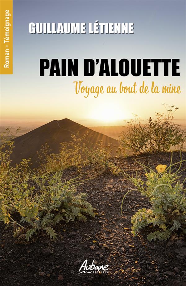 PAIN D ALOUETTE - VOYAGE AU BOUT DE LA MINE