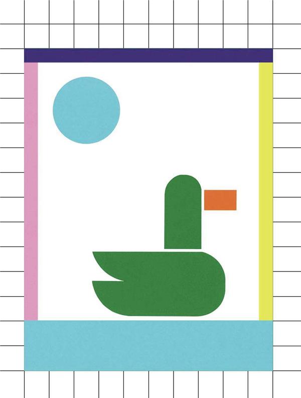 LE CAS CANARD