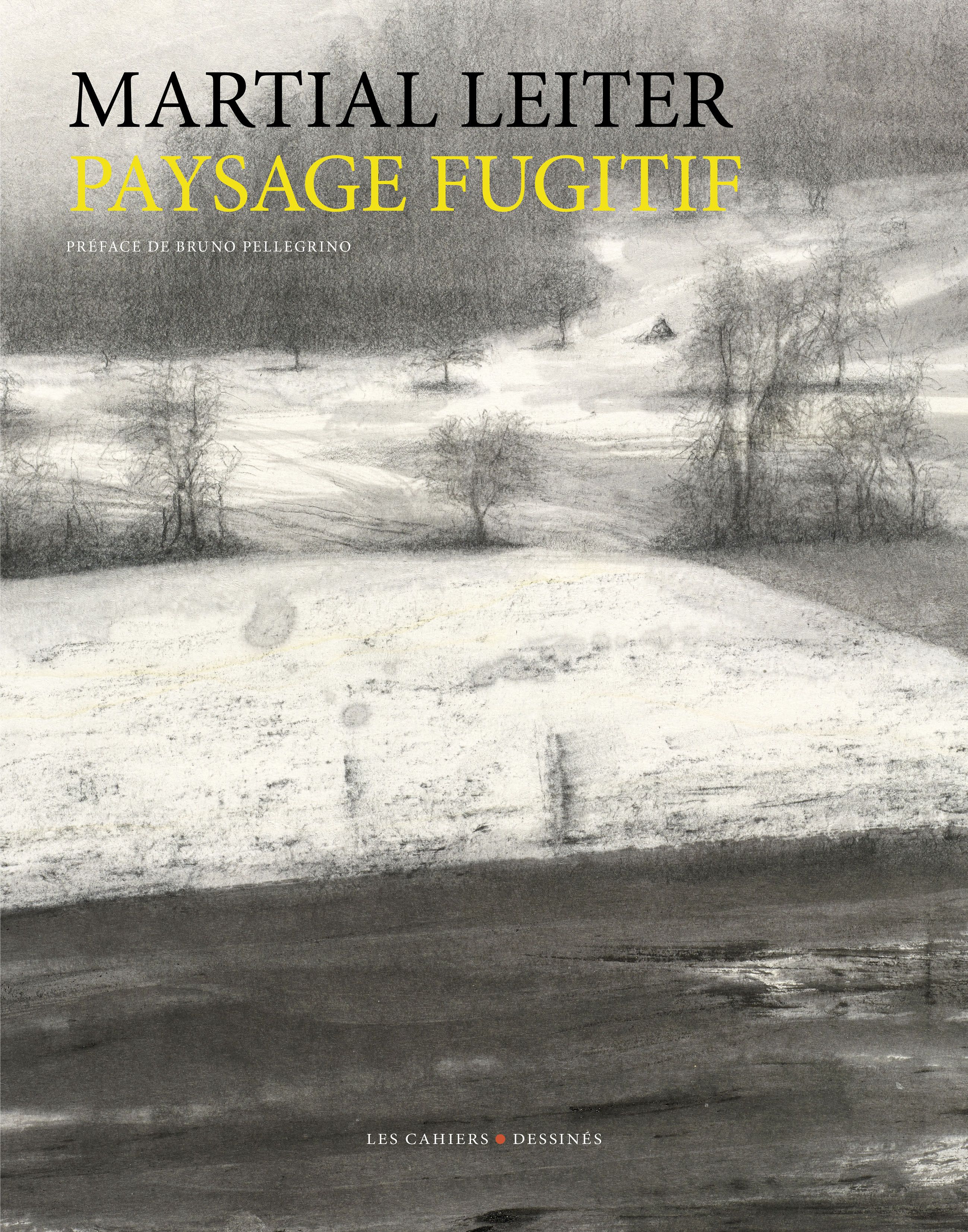 PAYSAGE FUGITIF