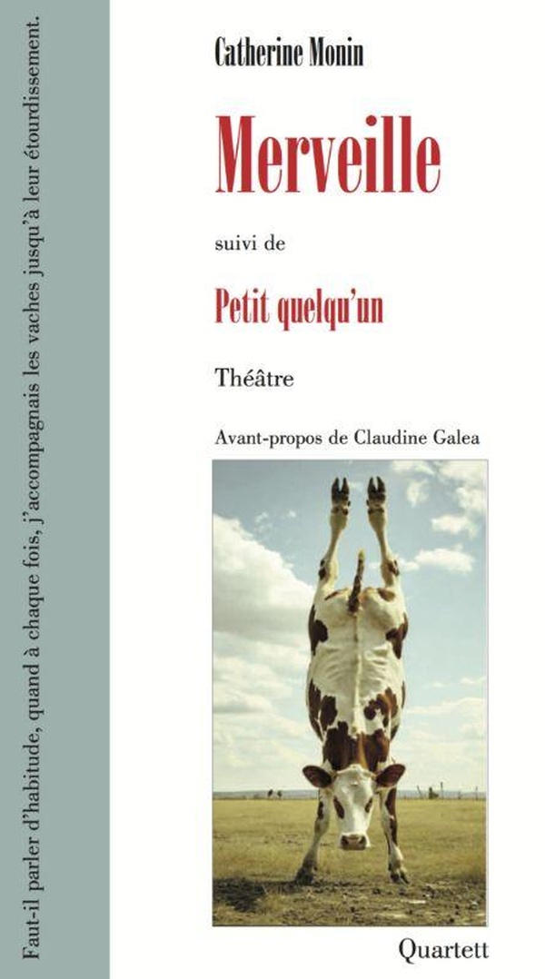 MERVEILLE SUIVI DE PETIT QUELQU'UN - ILLUSTRATIONS, COULEUR