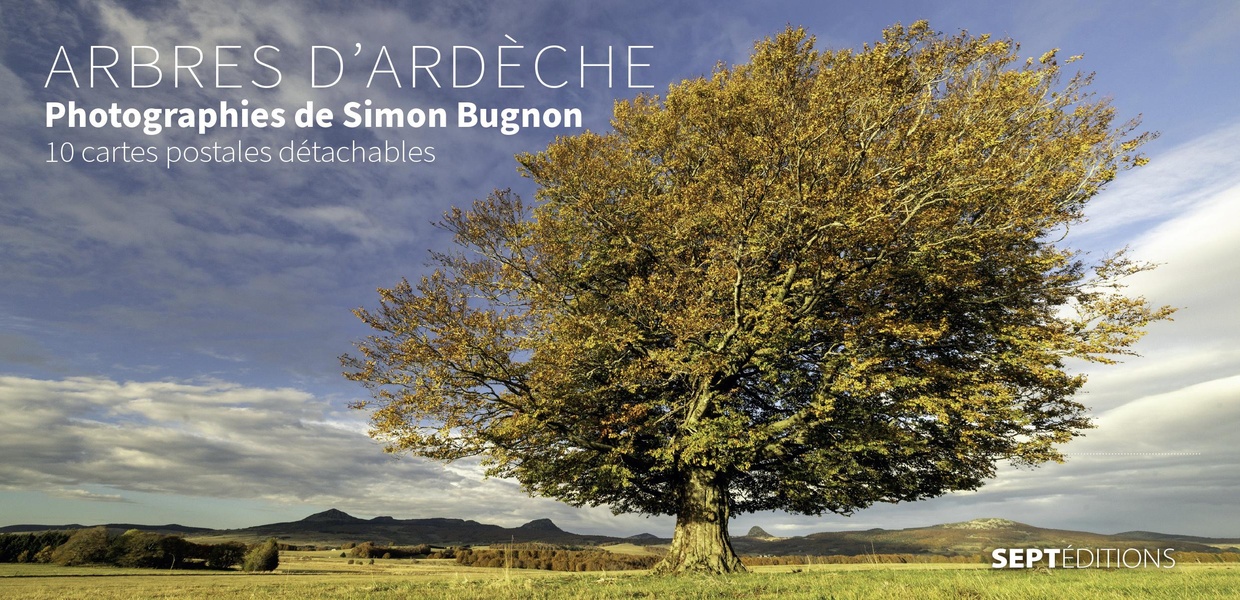 ARBRES D'ARDECHE - PHOTOGRAPHIES DE SIMON BUGNON - 10 CARTES POSTABLES DETACHABLES