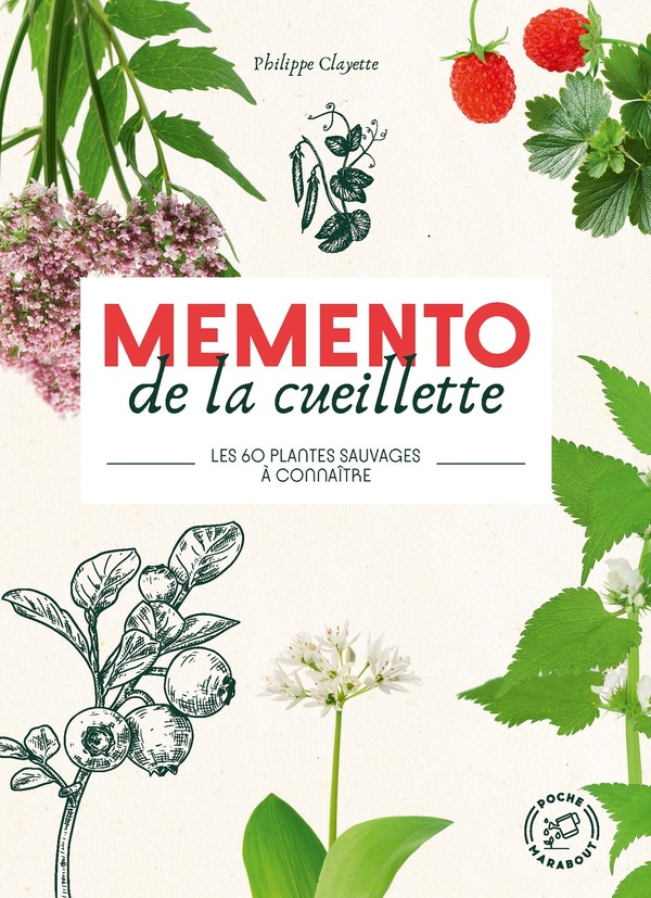 MEMENTO DE LA CUEILLETTE - LES 60 PLANTES SAUVAGES A CONNAITRE