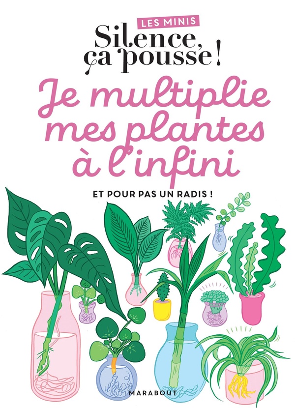 LES MINIS SILENCE CA POUSSE ! JE MULTIPLIE MES PLANTES A L'INFINI - ET POUR PAS UN RADIS !