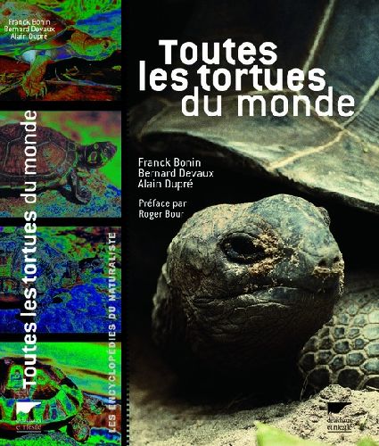 TOUTES LES TORTUES DU MONDE
