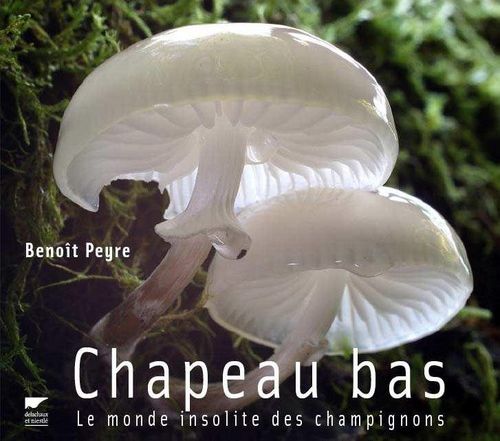 CHAPEAU BAS, LE MONDE INSOLITE DES CHAMPIGNONS
