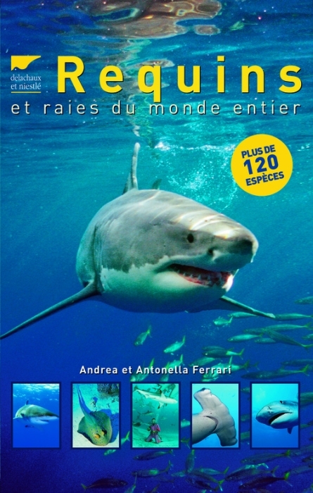 REQUINS ET RAIES DU MONDE ENTIER (NVELLE ED)