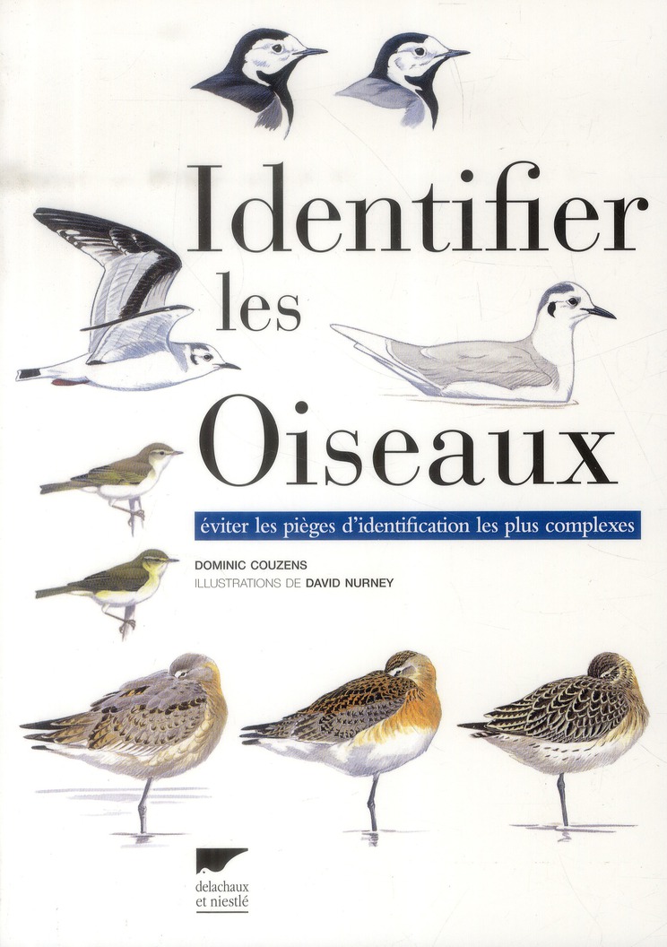 IDENTIFIER LES OISEAUX. EVITER LES PIEGES D'IDENTIFICATION LES PLUS COMPLEXES
