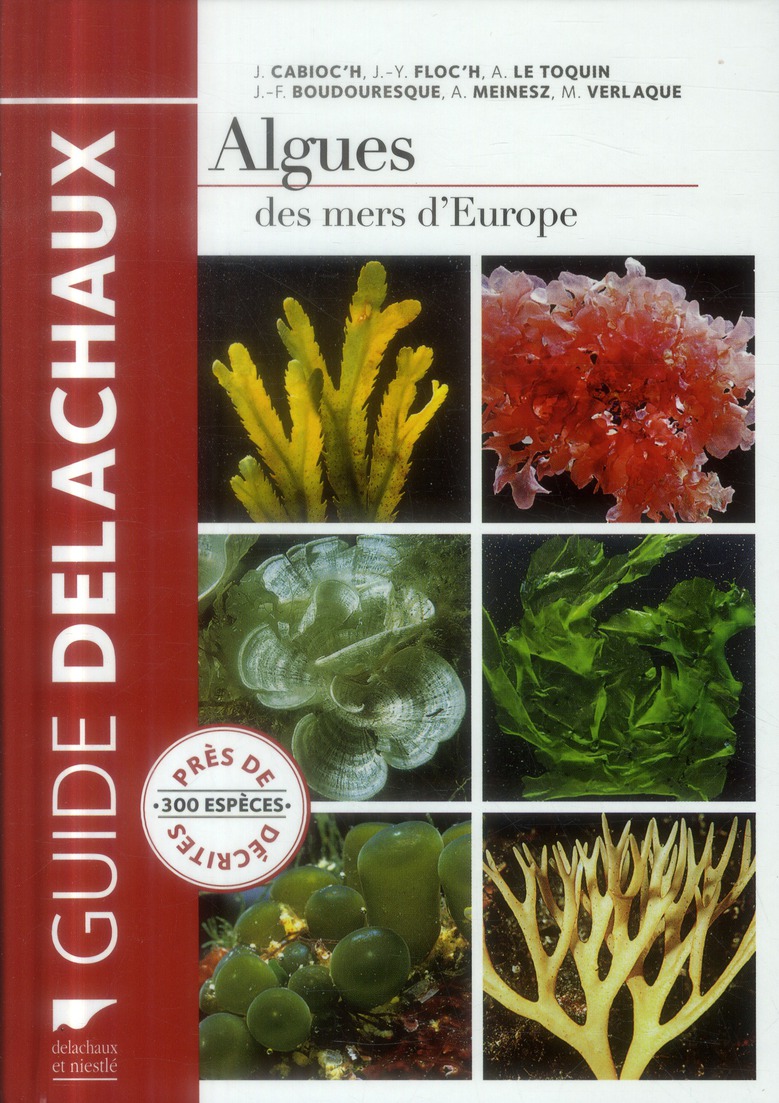 ALGUES DES MERS D'EUROPE. PRES DE 300 ESPECES DECRITES