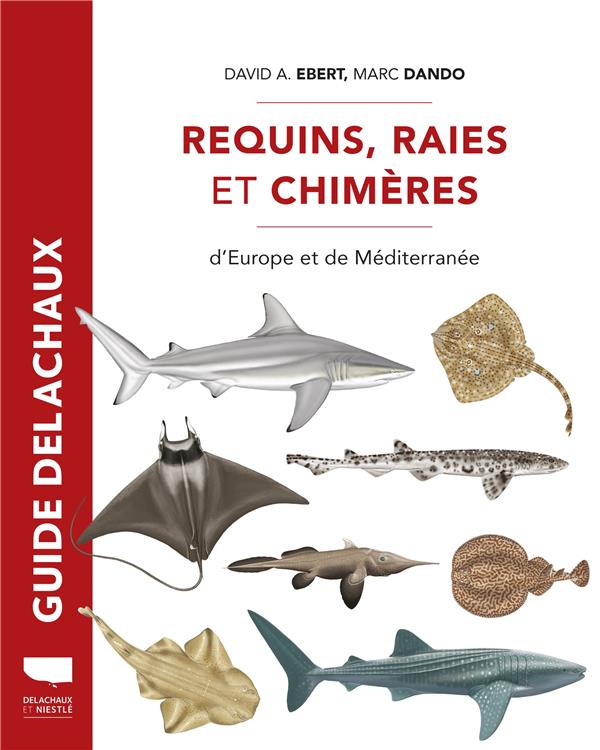 REQUINS, RAIES ET CHIMERES D'EUROPE ET DE MEDITERRANEE