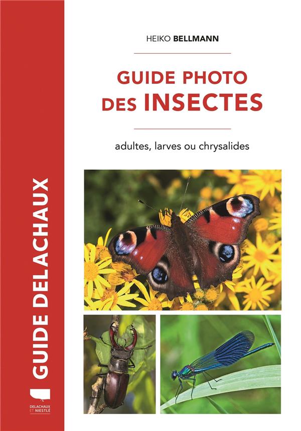GUIDE PHOTO DES INSECTES. ADULTES, LARVES OU CHRYSALIDES