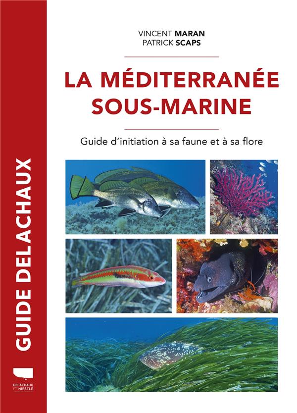 MEDITERRANEE SOUS-MARINE - GUIDE DE LA FAUNE ET DE LA FLORE