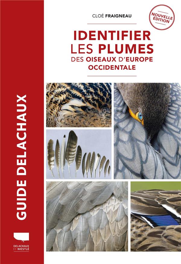 IDENTIFIER LES PLUMES DES OISEAUX D EUROPE OCCIDENTALE