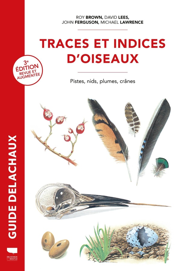TRACES ET INDICES D'OISEAUX - PISTES, NIDS, PLUMES, CRANES...