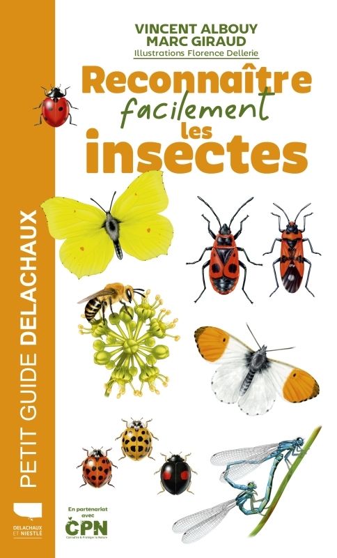 RECONNAITRE FACILEMENT LES INSECTES