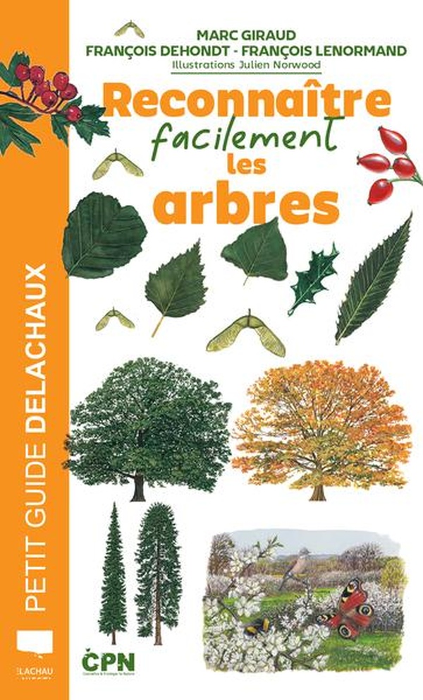 RECONNAITRE FACILEMENT LES ARBRES