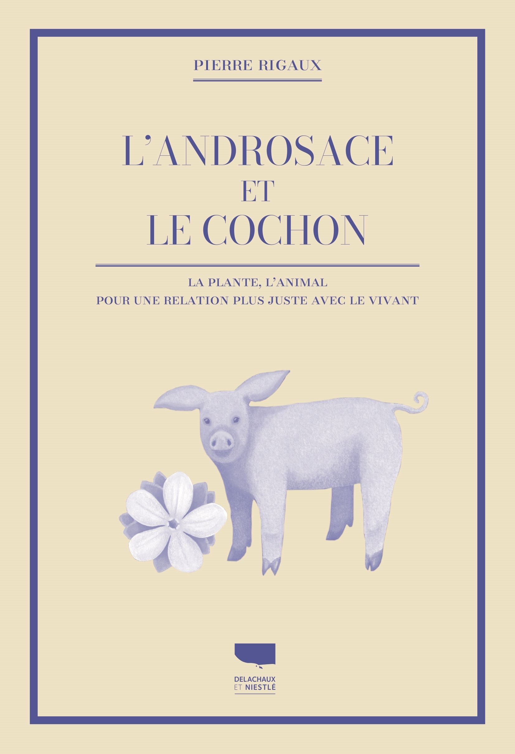 L'ANDROSACE ET LE COCHON