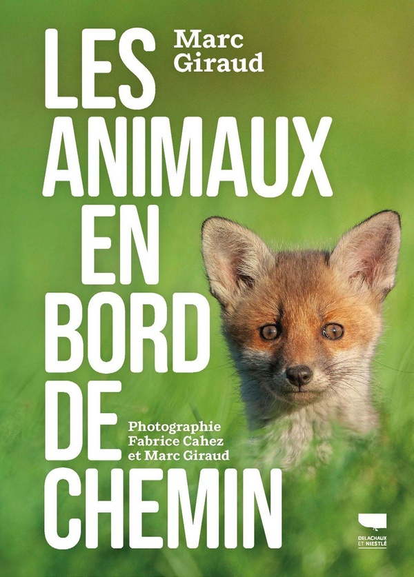 ANIMAUX EN BORD DE CHEMIN