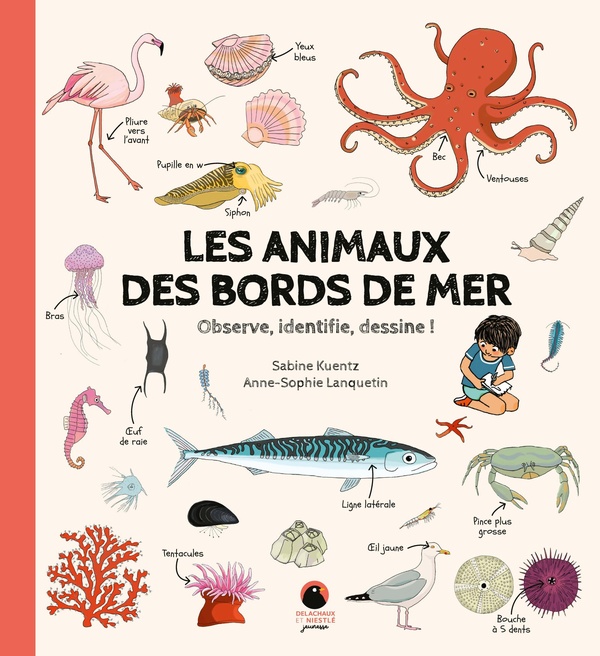 LES ANIMAUX DES BORDS DE MER - OBSERVE, IDENTIFIE, DESSINE !