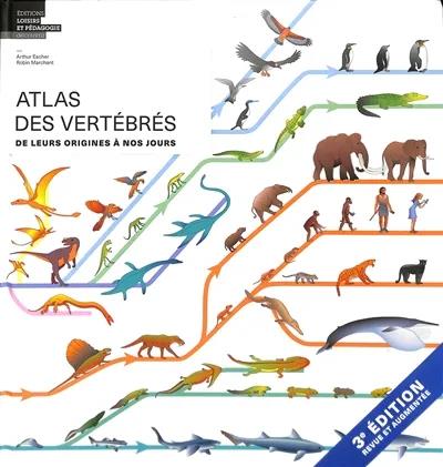 ATLAS DES VERTEBRES - DE LEURS ORIGINES A NOS JOURS