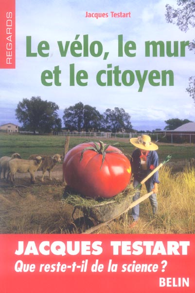 LE VELO, LE MUR ET LE CITOYEN