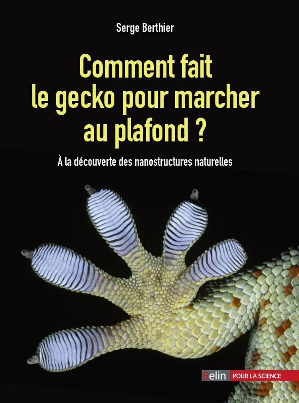 COMMENT FAIT LE GECKO POUR MARCHER AU PLAFOND ? - A LA DECOUVERTE DES NANOSTRUCTURES NATURELLES