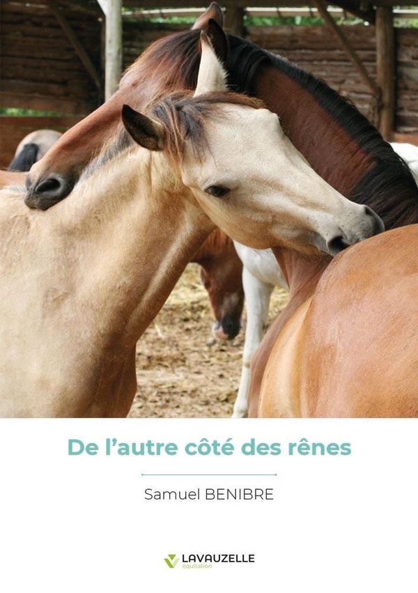 DE L'AUTRE COTE DES RENES