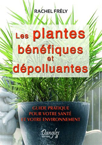 LES PLANTES BENEFIQUES ET DEPOLLUANTES