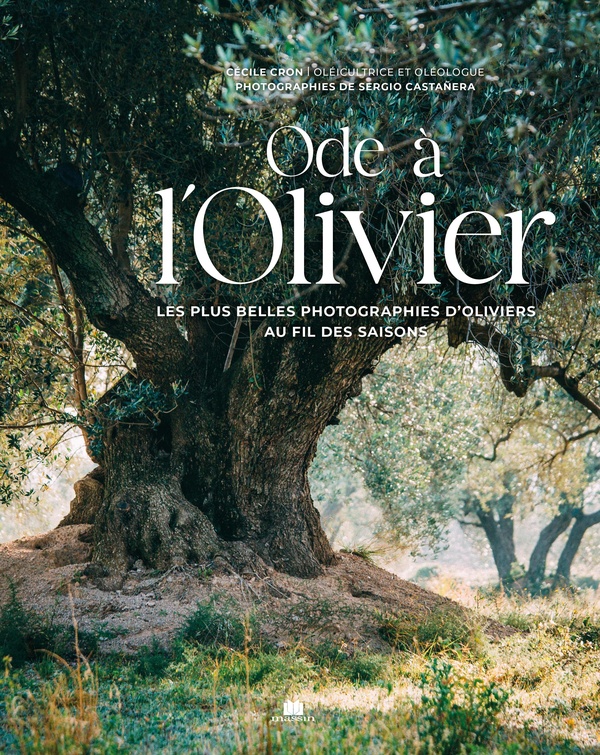 ODE A L'OLIVIER - LES PLUS BELLES PHOTOGRAPHIES D'OLIVIERS AU FIL DES SAISONS