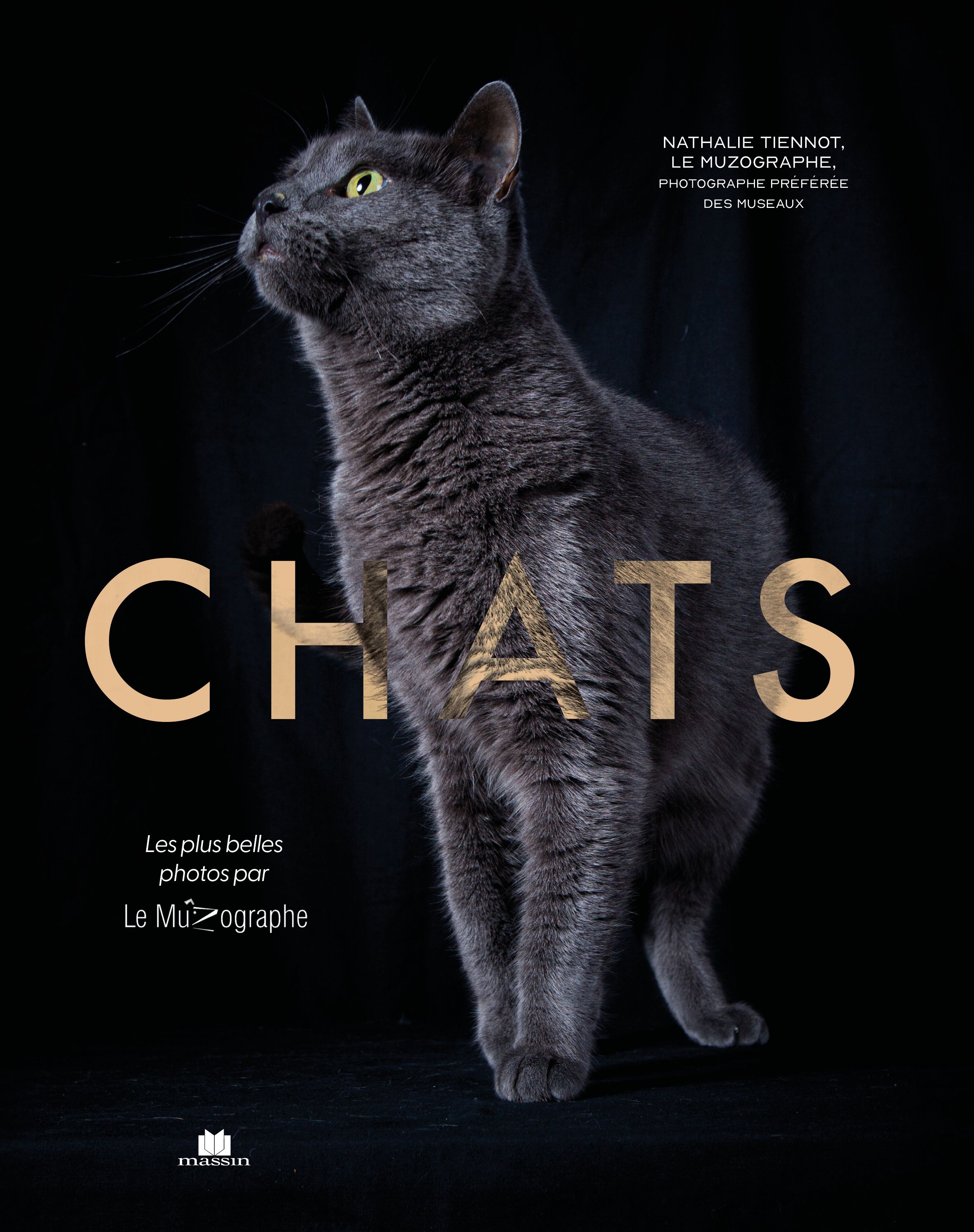 CHATS