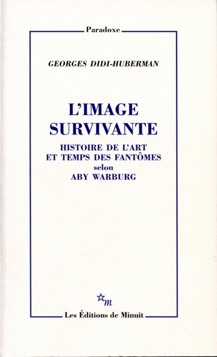 L'IMAGE SURVIVANTE